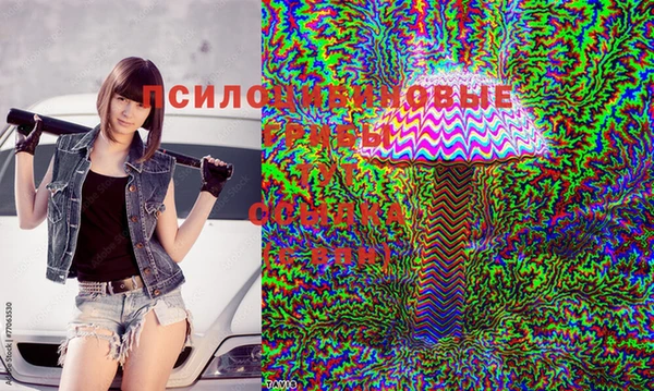 мдпв Белокуриха
