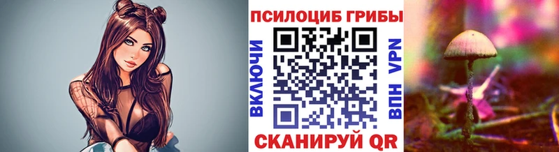 мориарти как зайти  Светлогорск  Галлюциногенные грибы мухоморы 